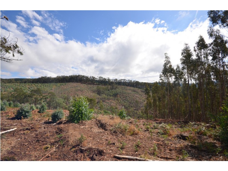 “Cocking West” Mount Lonarch Road, Mount Lonarch VIC 3468