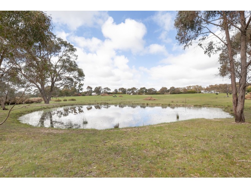 87 Finchs Road, Smythes Creek VIC 3351