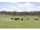 87 Finchs Road, Smythes Creek VIC 3351