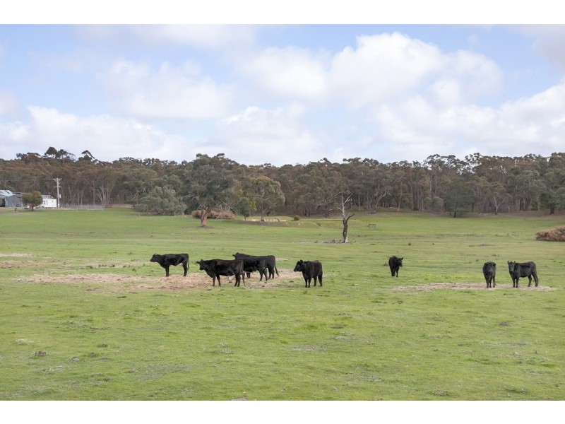 87 Finchs Road, Smythes Creek VIC 3351