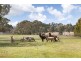 87 Finchs Road, Smythes Creek VIC 3351