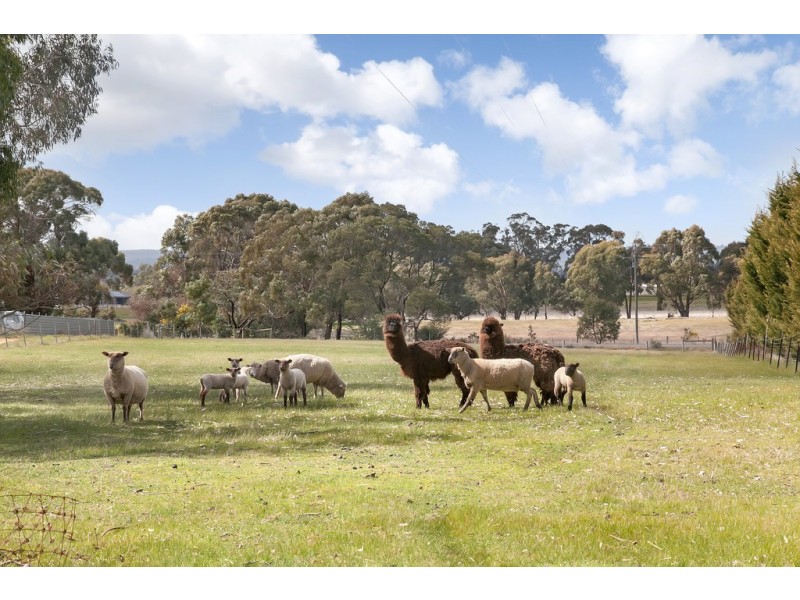 87 Finchs Road, Smythes Creek VIC 3351