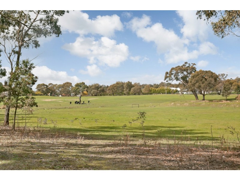 87 Finchs Road, Smythes Creek VIC 3351
