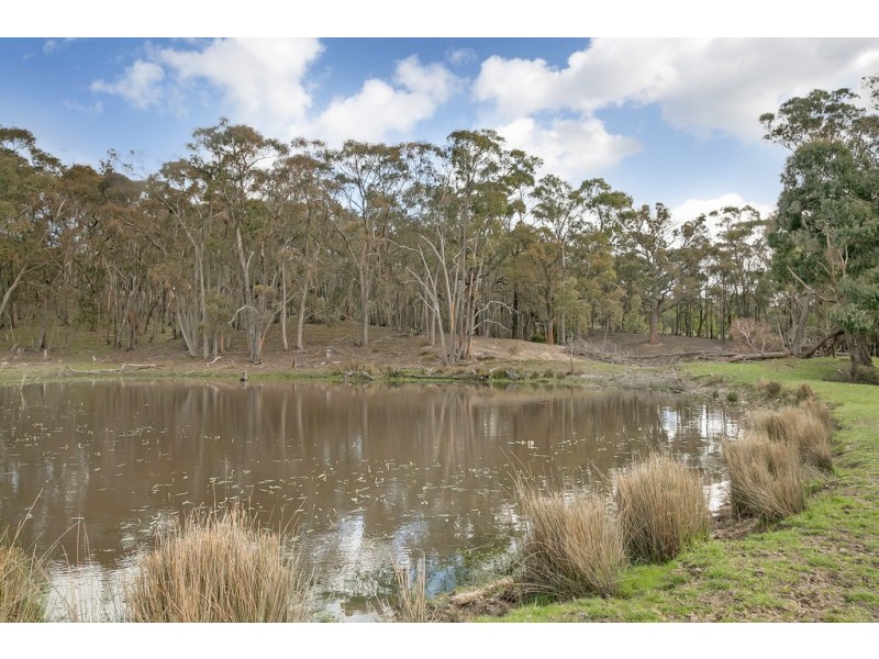87 Finchs Road, Smythes Creek VIC 3351