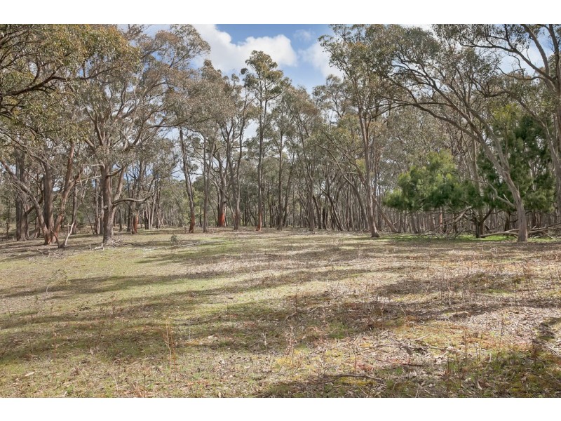 87 Finchs Road, Smythes Creek VIC 3351