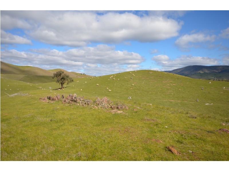 CA 209 Townsing Road, Amphitheatre VIC 3468