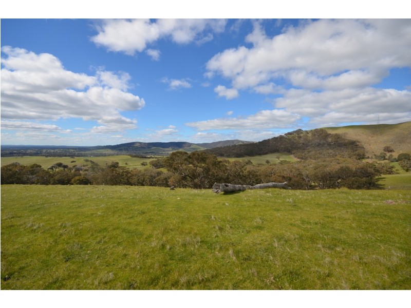 CA 209 Townsing Road, Amphitheatre VIC 3468