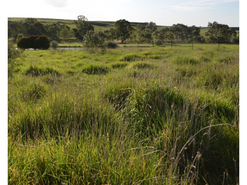 1381 McCallums Creek Road, Red Lion VIC 3371