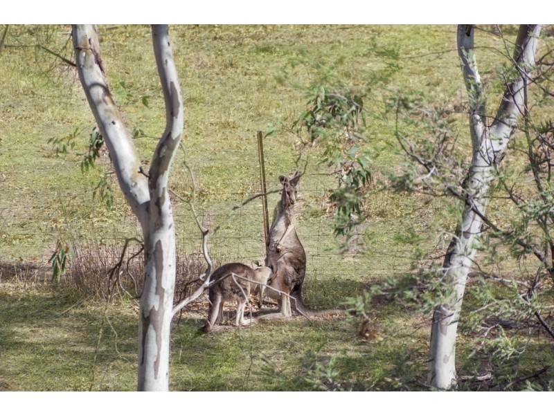 Lot 1 Sunraysia Highway, Redbank VIC 3477