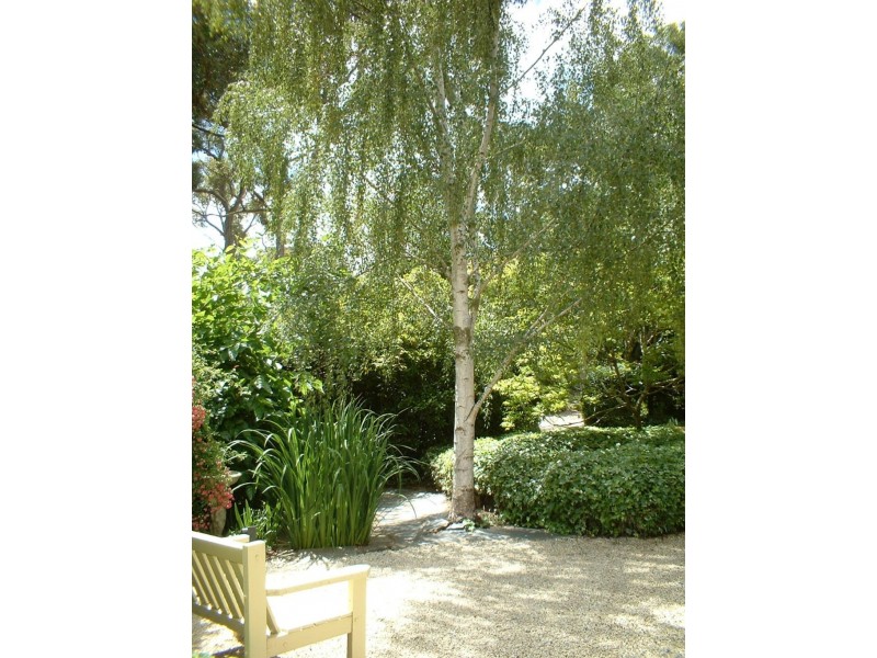 1550 Midland Hwy, Creswick VIC 3363