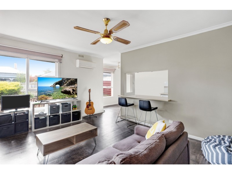 813 Tress Street, Mount Pleasant VIC 3350