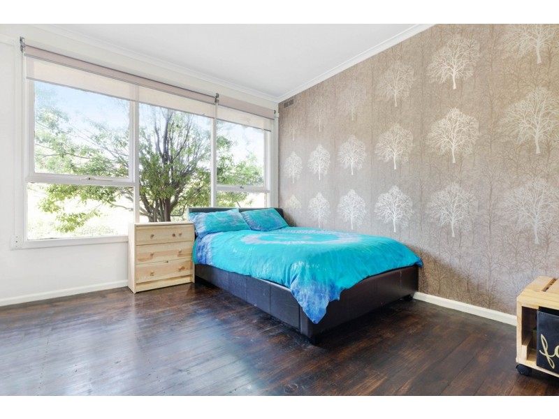 813 Tress Street, Mount Pleasant VIC 3350