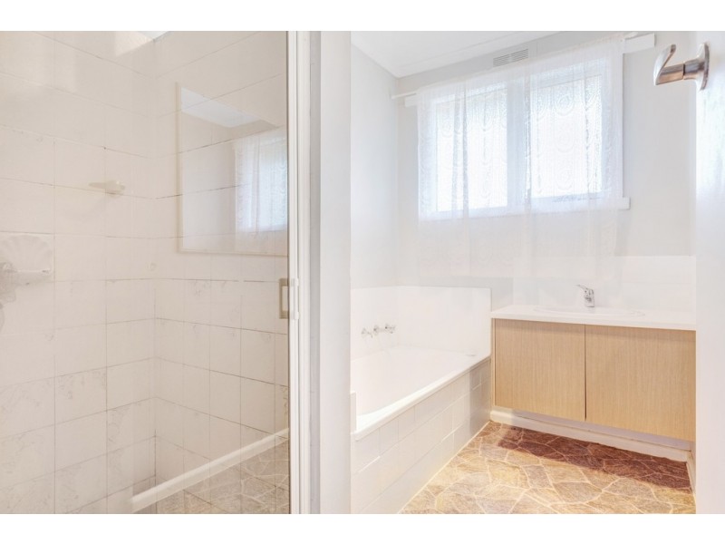 813 Tress Street, Mount Pleasant VIC 3350