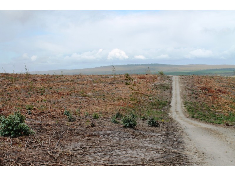 ‘Beckwith’ CA 61A Henswood Road, Carrajung South VIC 3844