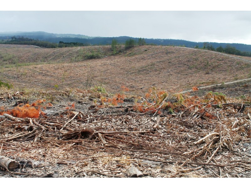 ‘Beckwith’ CA 61A Henswood Road, Carrajung South VIC 3844