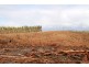 ‘Beckwith’ CA 61A Henswood Road, Carrajung South VIC 3844