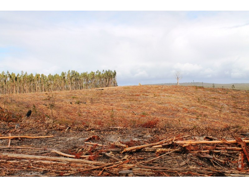 ‘Beckwith’ CA 61A Henswood Road, Carrajung South VIC 3844