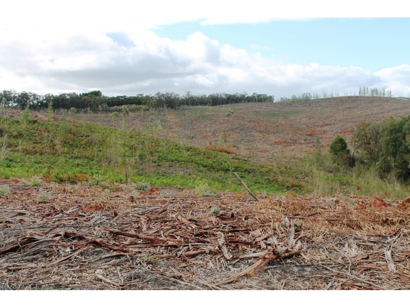 ‘Beckwith’ CA 61A Henswood Road, Carrajung South VIC 3844