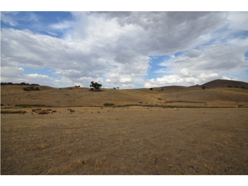 CA 210 Townsing Road, Amphitheatre VIC 3468