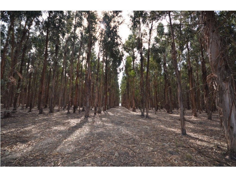 Lot 1 Western Hwy, Ercildoune VIC 3352