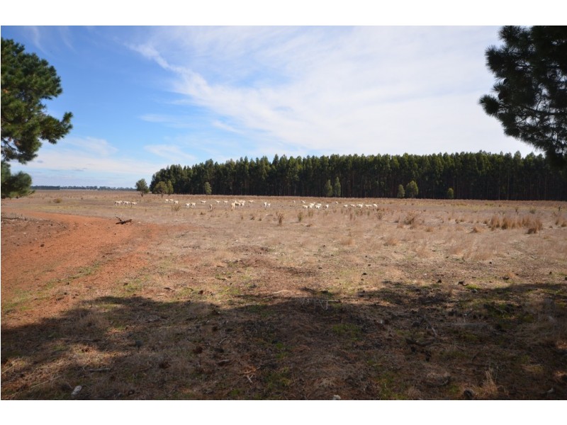 Lot 1 Western Hwy, Ercildoune VIC 3352