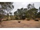 Lot 2 CA’s 3, 4, 4A and 4B Moonambel-Warrenmang Road, Moonambel VIC 3478