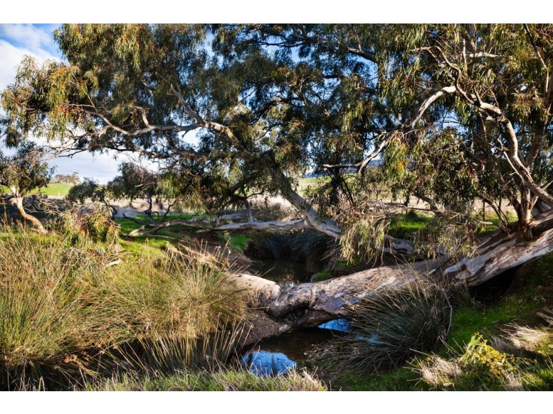 9 Kruss Road, Amphitheatre VIC 3468