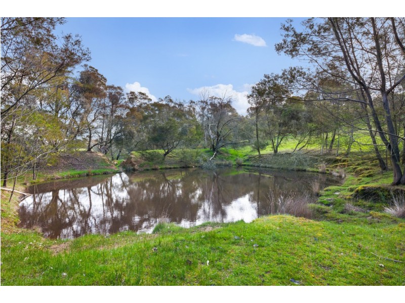 135 Scholes Road, Raglan VIC 3373