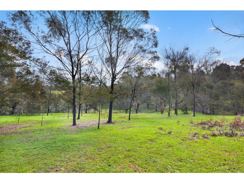 135 Scholes Road, Raglan VIC 3373