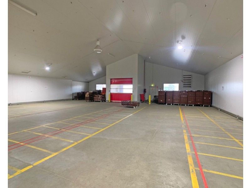 15-17 Lal Lal Street, Golden Point VIC 3350