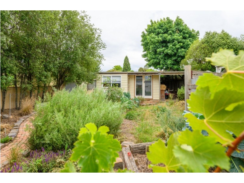 5 Chisholm Street, Soldiers Hill VIC 3350