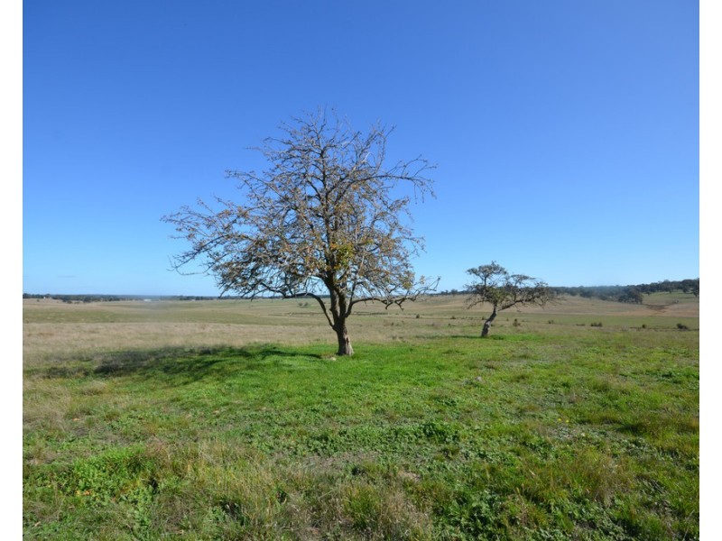 Lot 1 Linton-Carngham Road, Carngham VIC 3351