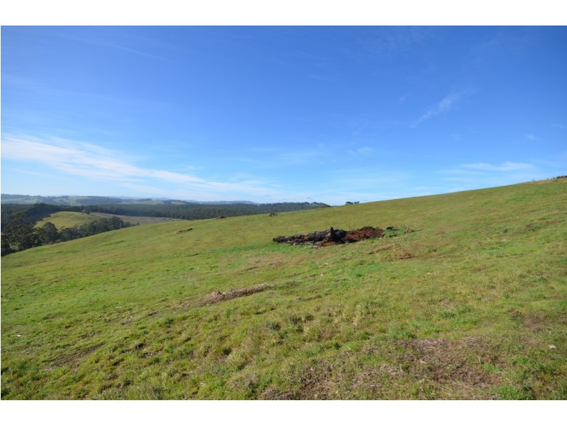 Lot 8-15 Limonite Road, Boolarra VIC 3870