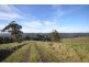 Lot 8-15 Limonite Road, Boolarra VIC 3870