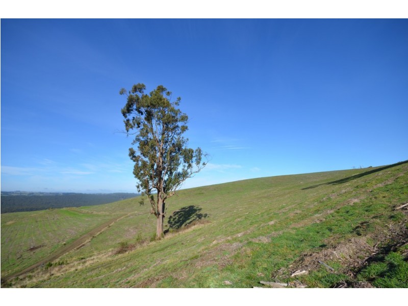 Lot 8-15 Limonite Road, Boolarra VIC 3870