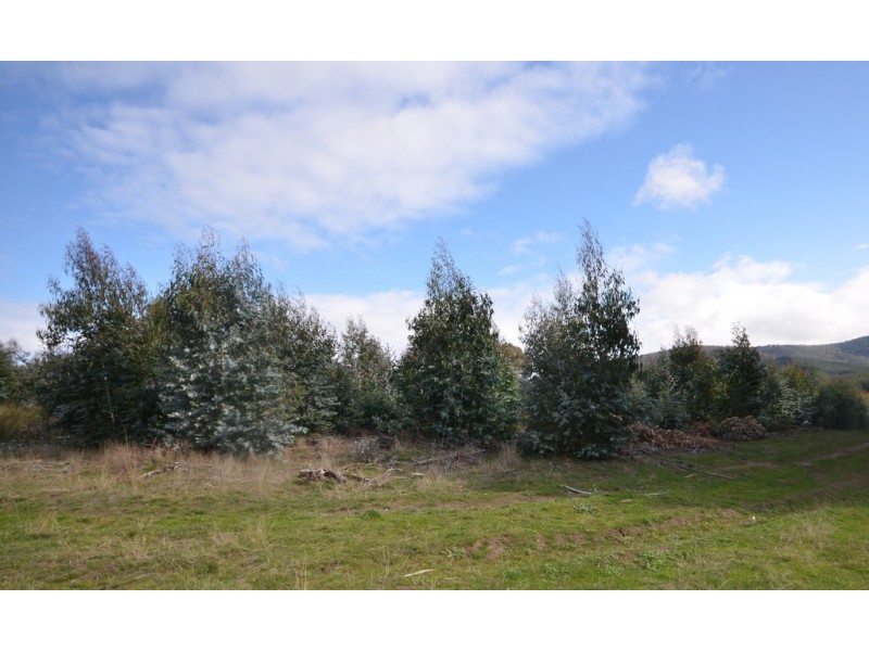 CA 4 Mount Lonarch Road, Mount Lonarch VIC 3468