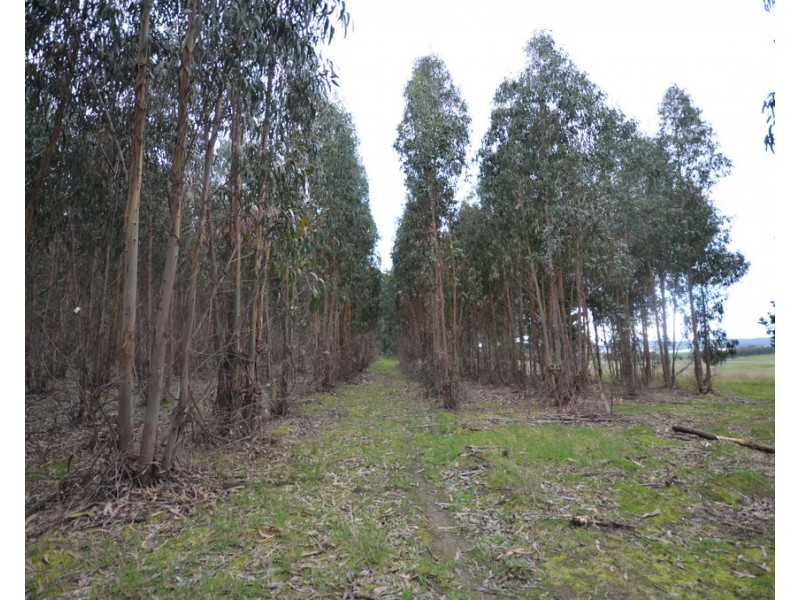 CA 46 Moreton Hill Road, Skipton VIC 3361