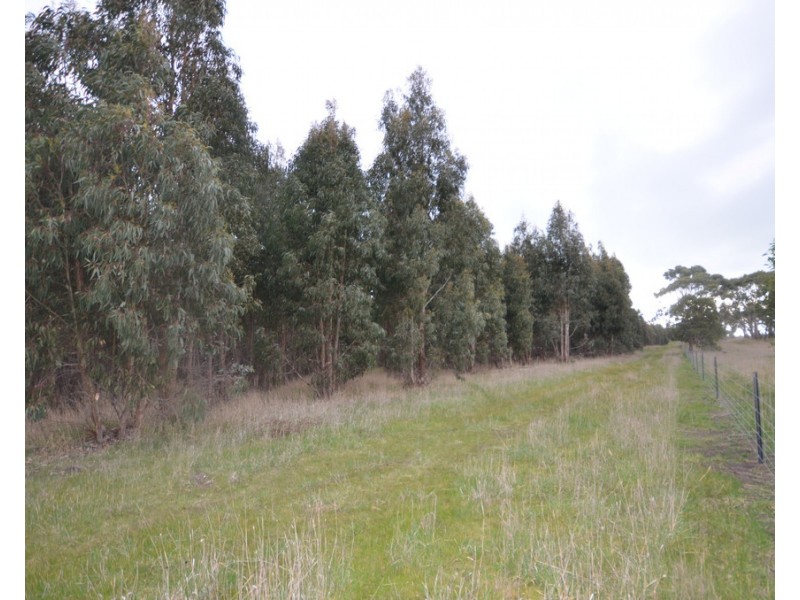 CA 46 Moreton Hill Road, Skipton VIC 3361