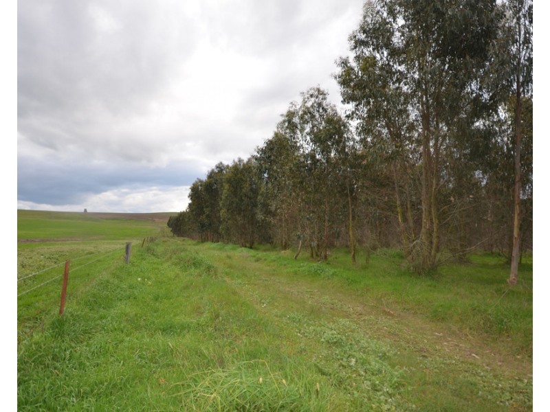 CA 46 Moreton Hill Road, Skipton VIC 3361