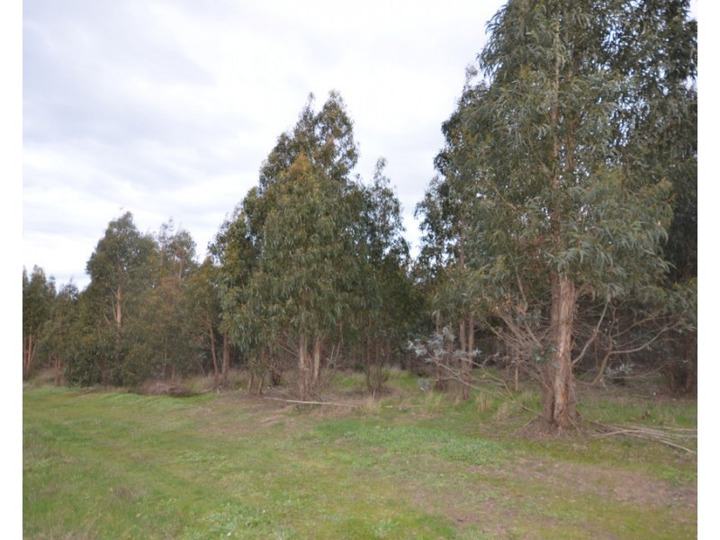 CA 46 Moreton Hill Road, Skipton VIC 3361