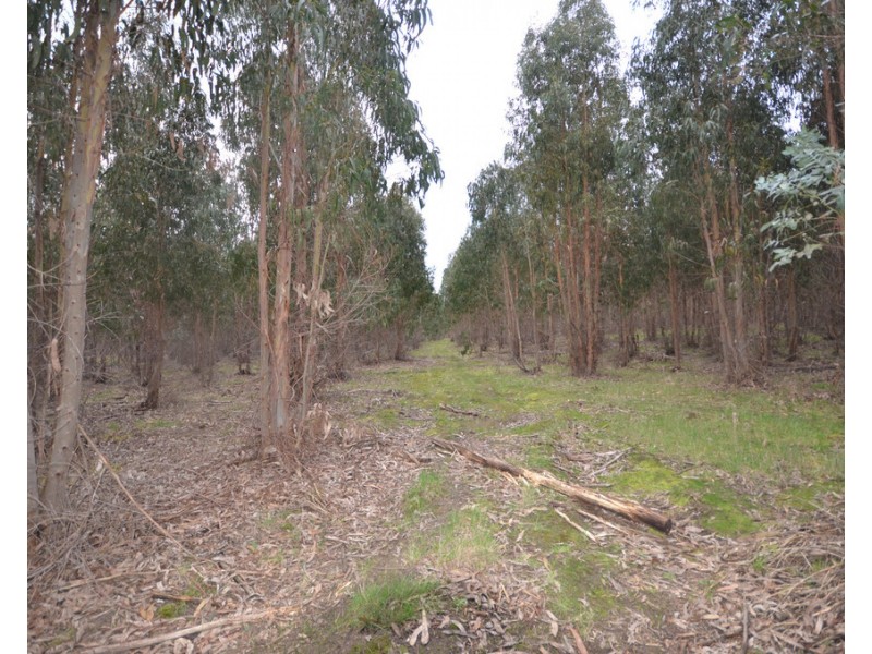 CA 46 Moreton Hill Road, Skipton VIC 3361