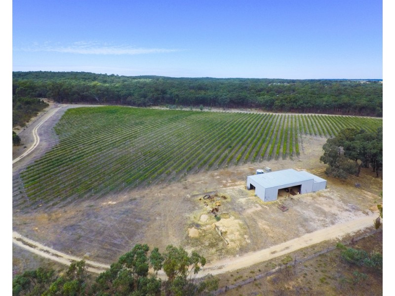 20 Morris Lane, Avoca VIC 3467