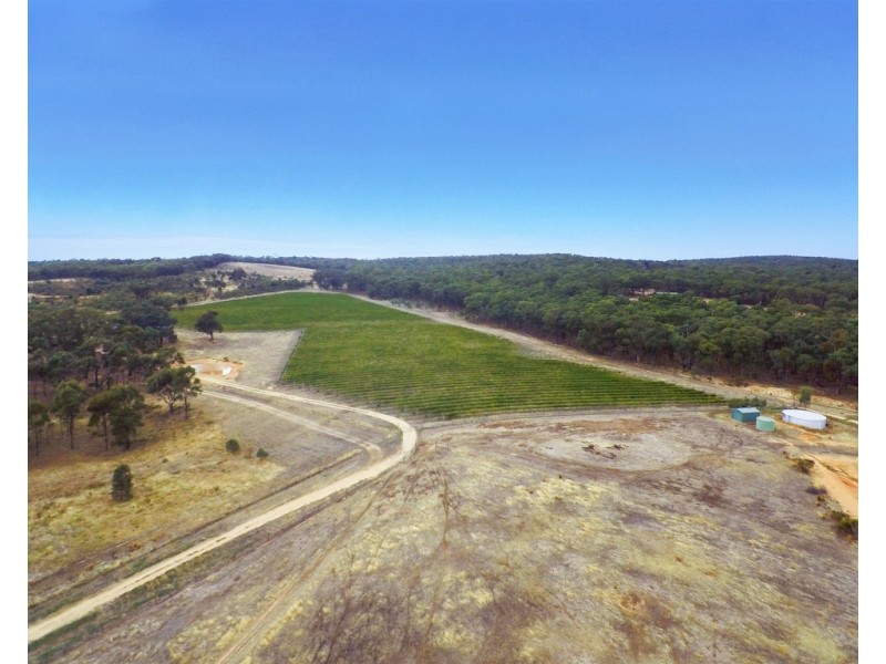 20 Morris Lane, Avoca VIC 3467