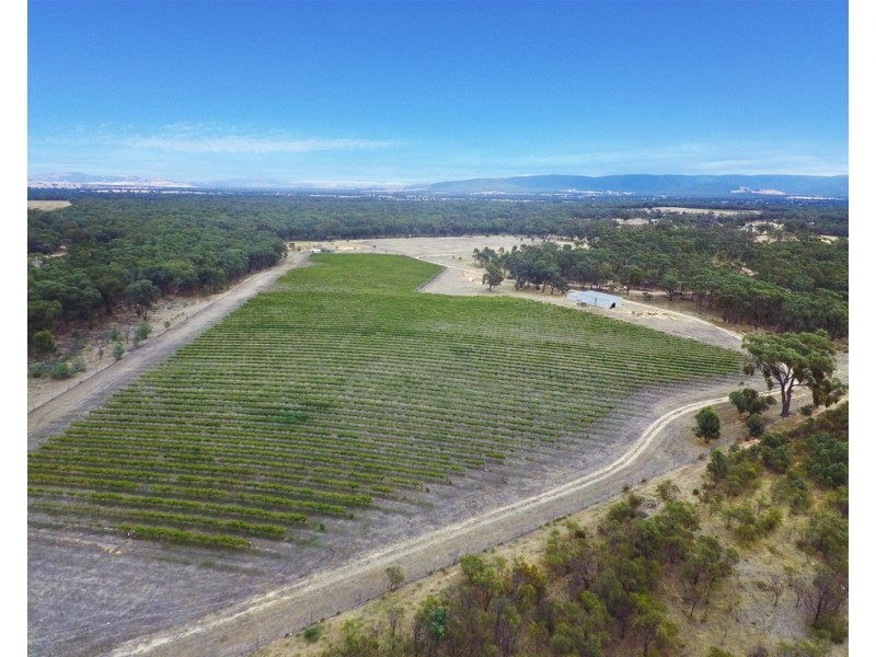 20 Morris Lane, Avoca VIC 3467