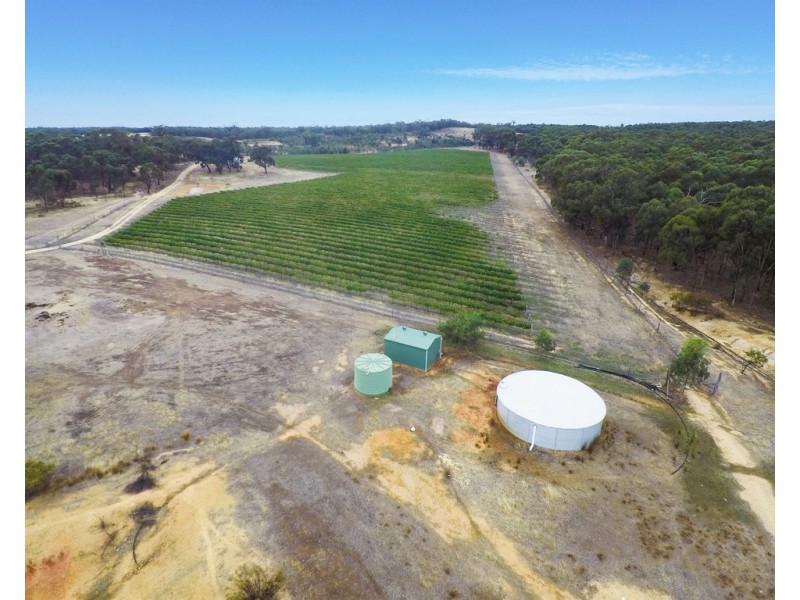 20 Morris Lane, Avoca VIC 3467