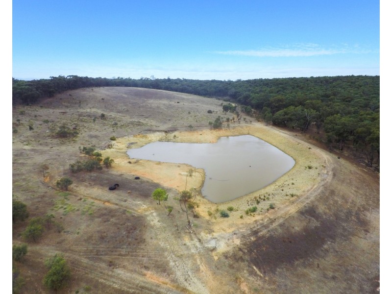 20 Morris Lane, Avoca VIC 3467