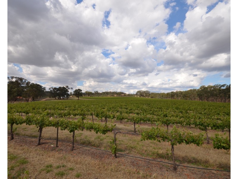 20 Morris Lane, Avoca VIC 3467