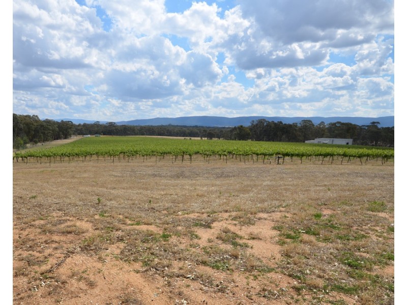 20 Morris Lane, Avoca VIC 3467