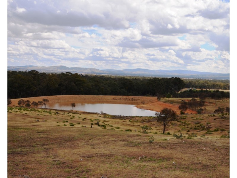 20 Morris Lane, Avoca VIC 3467