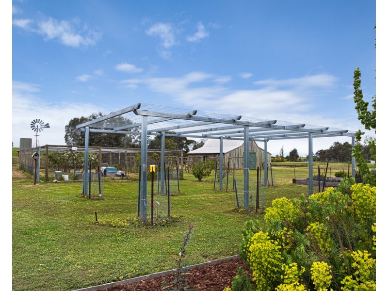 36 Crespigny Street, Talbot VIC 3371